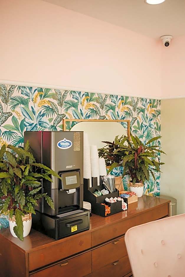 The Local - St. Augustine