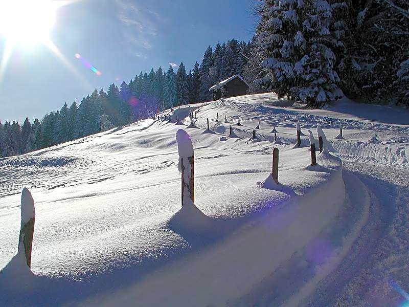 Hotel Tyrol - Oberstaufen PLUS Partner