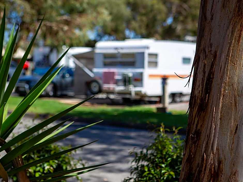 Echo Holiday Parks - Windsor Gardens