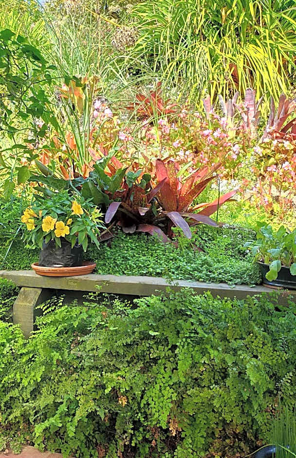 Te Aputa Lodge formally La Casa Te Puru Lodge