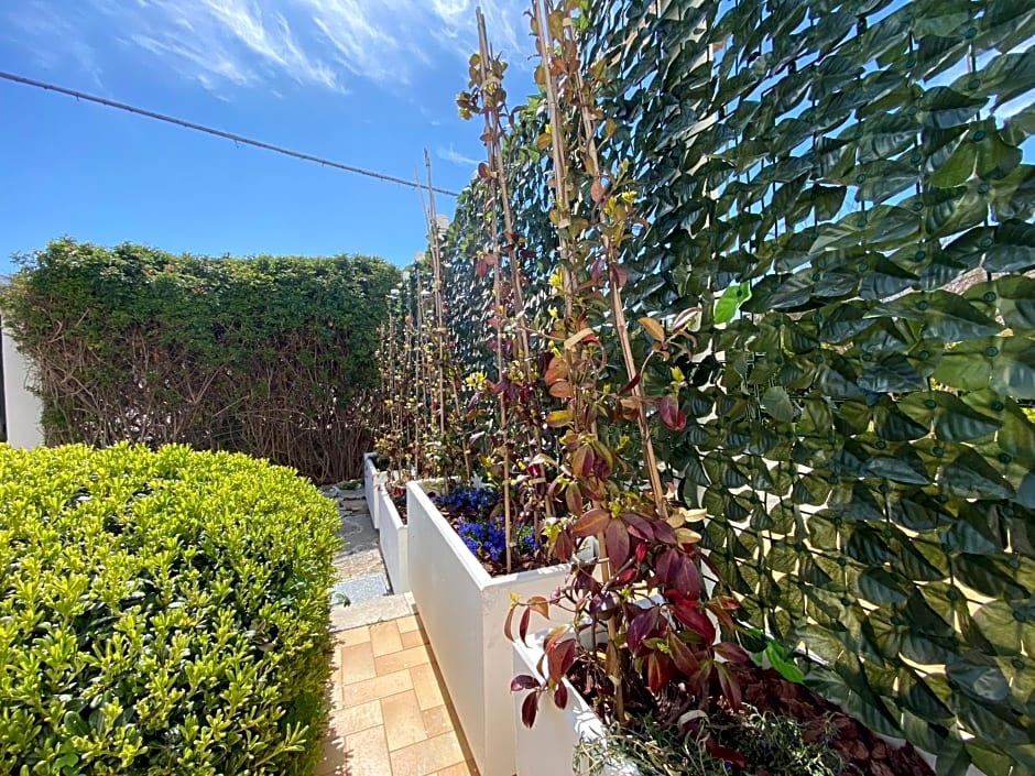 AFFITTACAMERE PIAZZA MAMELI