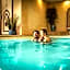 Le Clos Des Anges