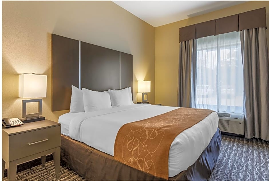 Comfort Suites Near Sam Houston Race Park