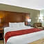 Comfort Suites At Virginia Center Commons