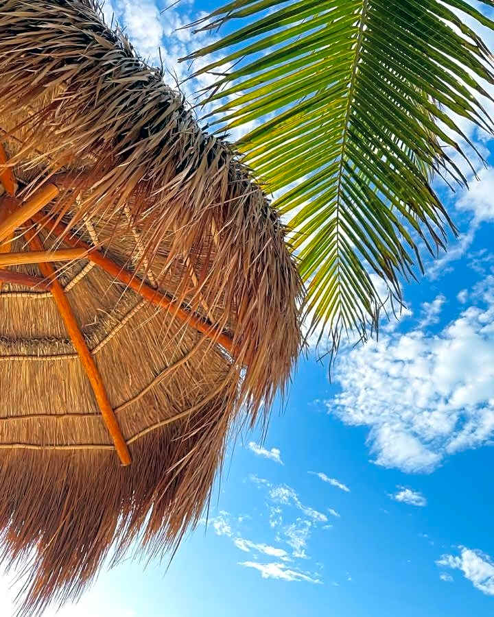 La Puerta Azul Beachfront - Adults Only