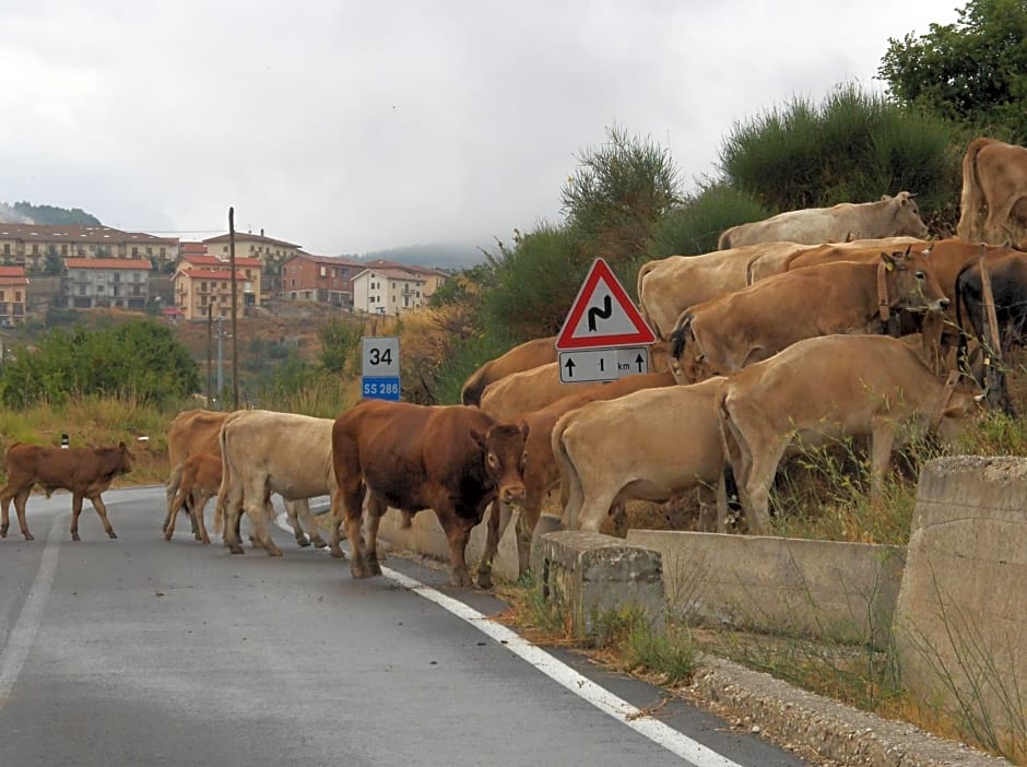 Notti O' Tunn Luxury Rooms in centro