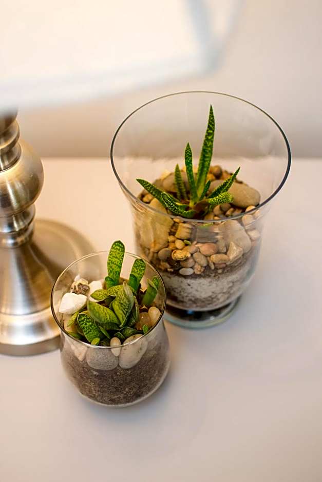 The Post House Hotel - no children under the age of 16yrs