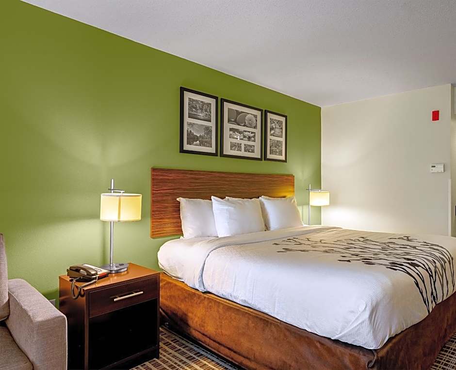 Photo 1 of 3 of 1 King Bed, Accessible