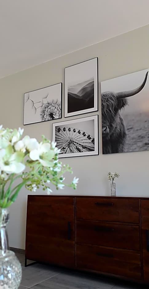 Chalets Franciska Major, Pro Village