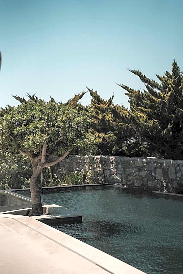 Asty Mykonos Hotel & Spa - World of One Hotel Group