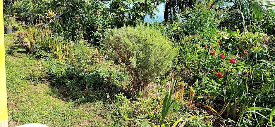 GITE-Hotel LA CAZ DES ORANGERS