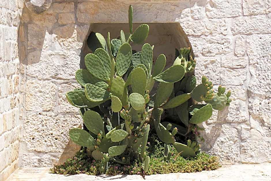 Trulli Holiday Albergo Diffuso