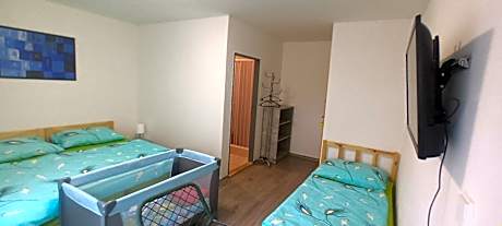 Superior Double or Twin Room with Terrace