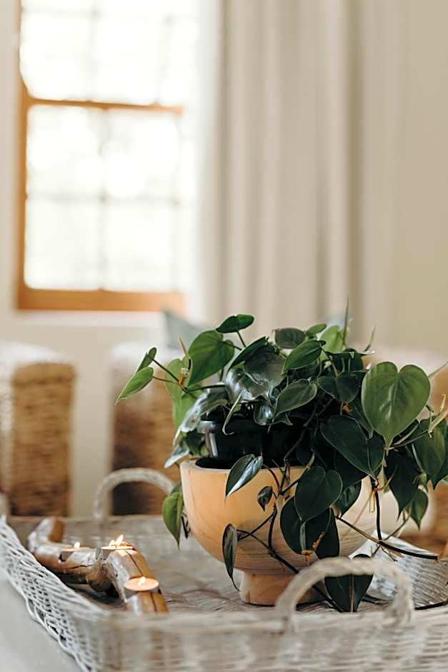 Robberg Beach Lodge - Lion Roars Hotels & Lodges