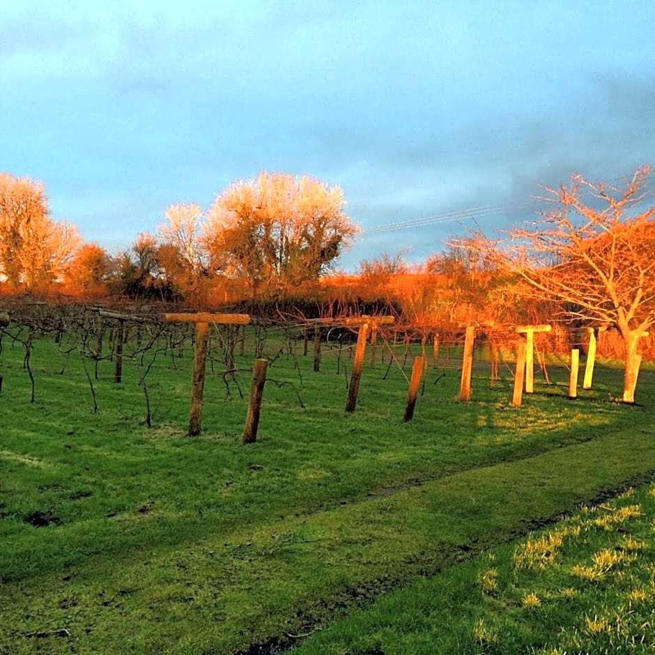 Jabajak Vineyard Restaurant & Rooms