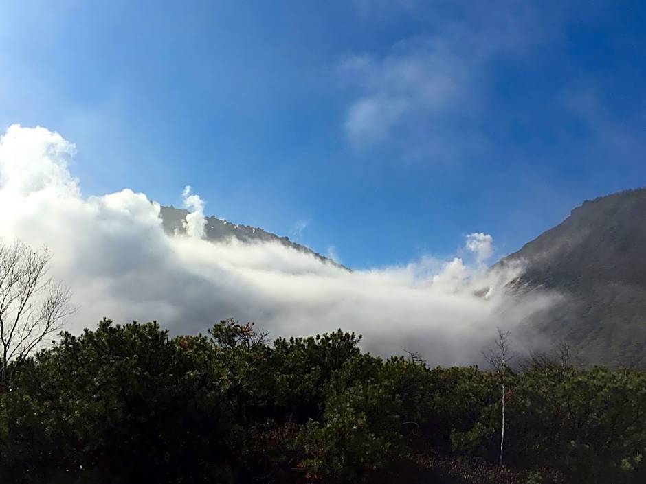 ARtINn 極寒藝術伝染装置