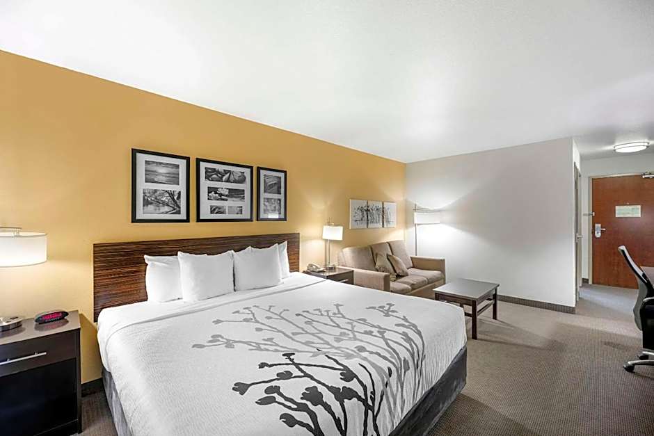 Sleep Inn & Suites Carlsbad Caverns Area