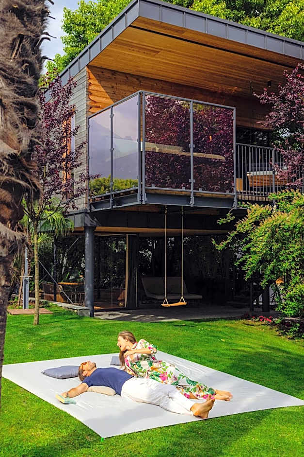 TreeLodgy, The Tree House