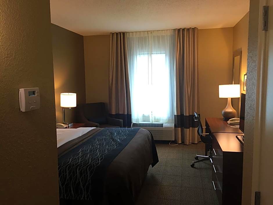 Comfort Inn & Suites Lynchburg Airport - University Area