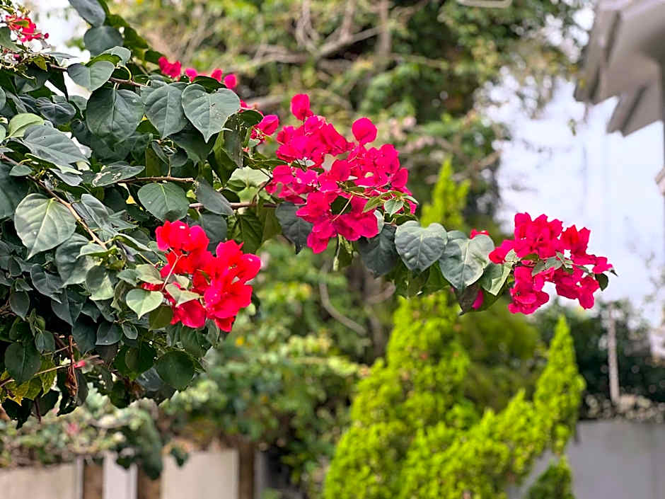 Pousada Altas Natureza