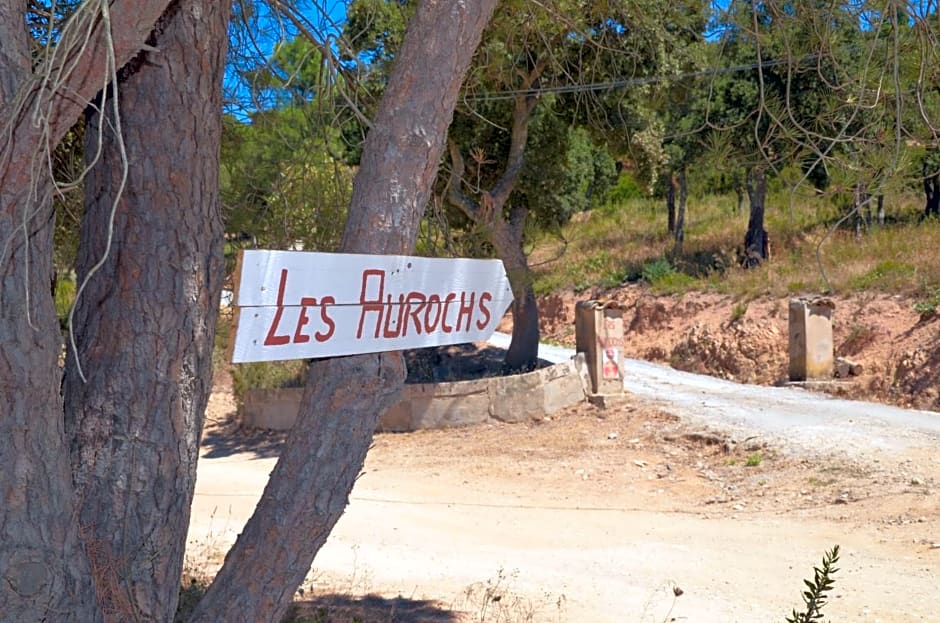 Les Aurochs – Port Grimaud/Grimaud, ID