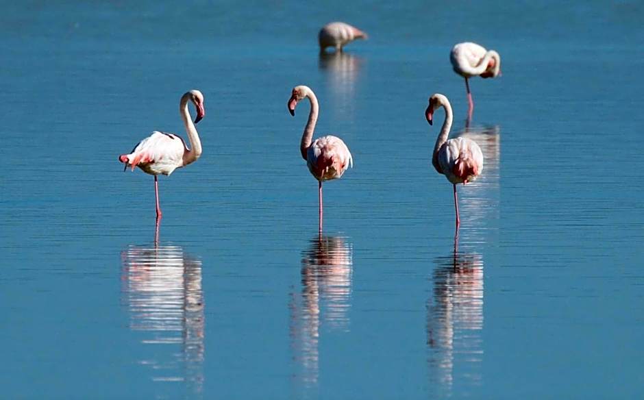 Dos Mares Barefoot Luxury