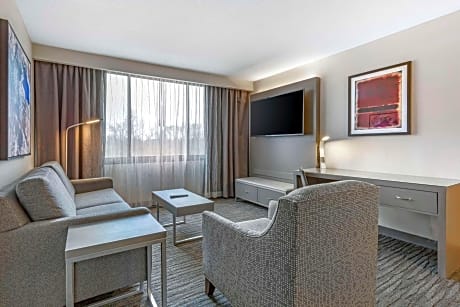 King Suite with Roll-In Shower and Sofa Bed - Mobility Accessible/Non-Smoking