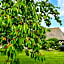 LA GRIOTTE 2 & Spa&Piscine