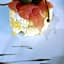 Serendipity Country House & Restaurant