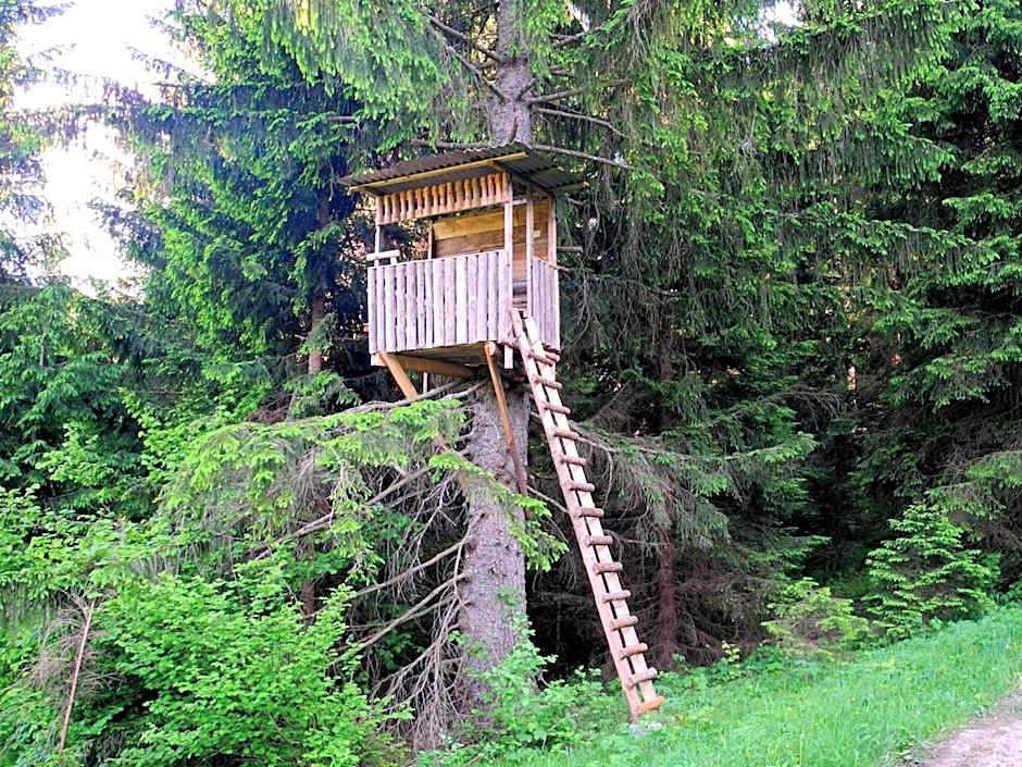 Youth Hostel Arsviva