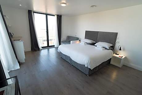 Superior Double or Twin Room with City View