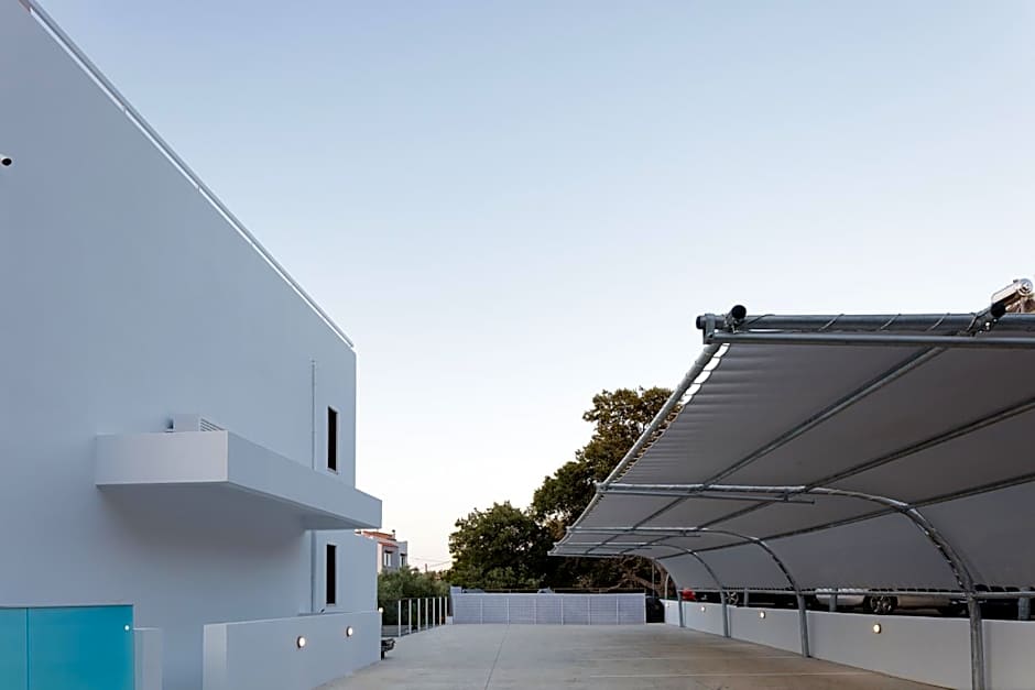 Coconut Palm Paradise