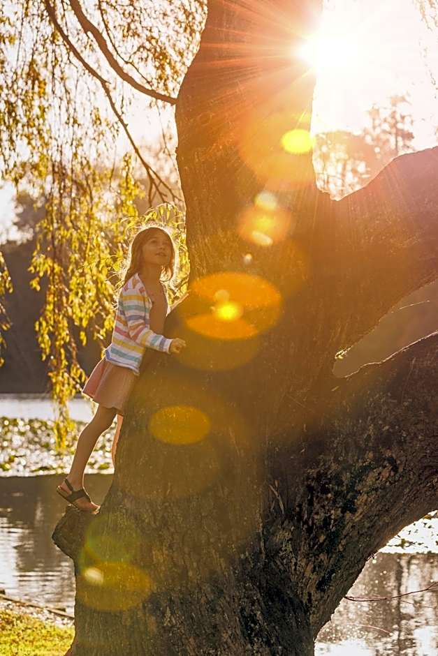 Hidden Lake Hotel & Apartments