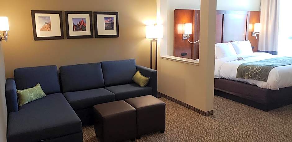 Comfort Suites Denver near Anschutz Medical Campus