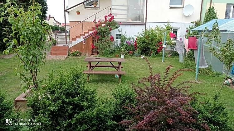 Domki letniskowe u Janka