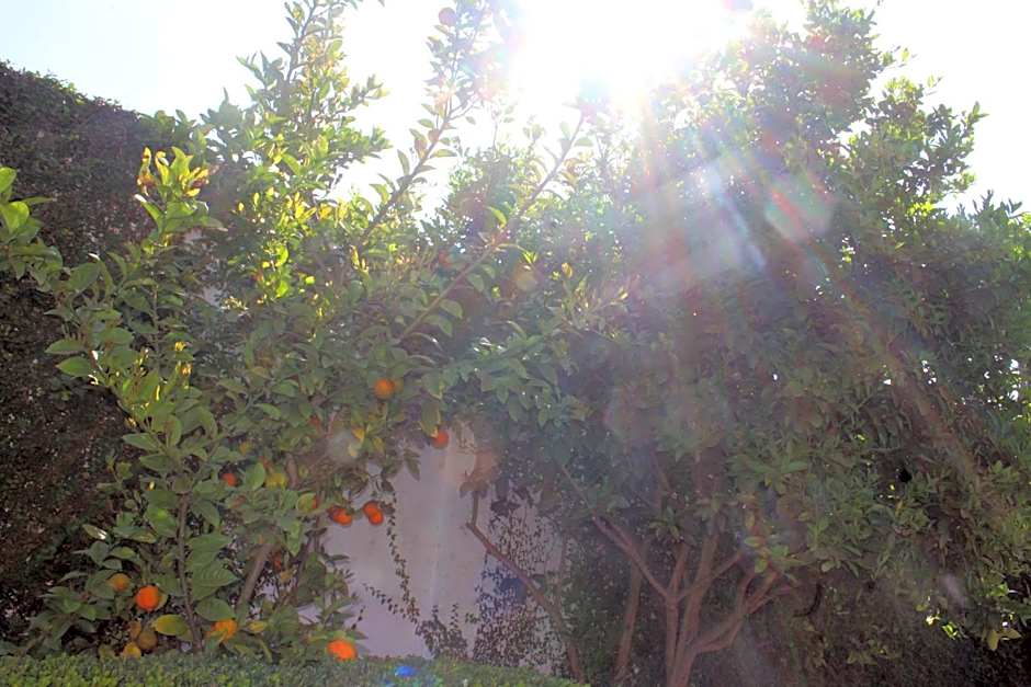 Hotel y Cabañas una Cosita de Zacatlán