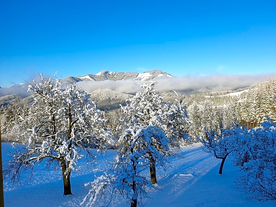 Biobauernhof Obereck