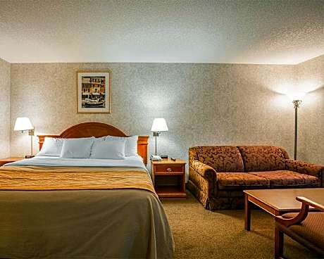Suite with 1 King bed and Sofabed - No Smoking