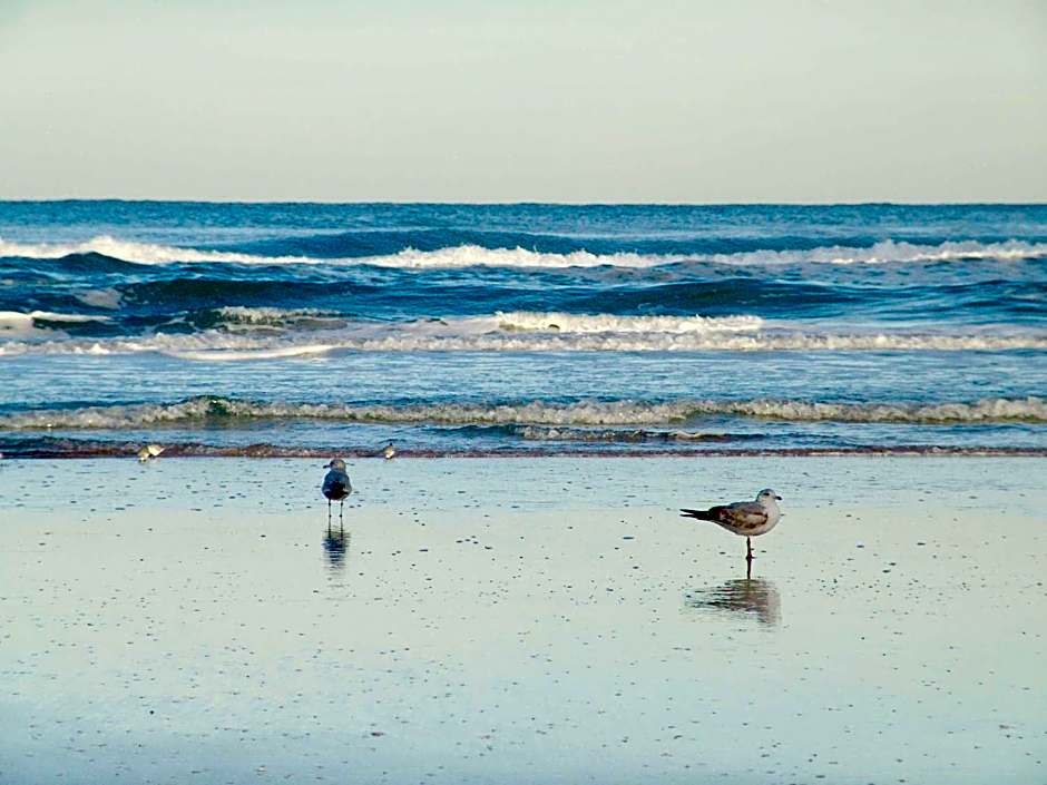 Hampton Inn By Hilton Daytona Shores-Oceanfront