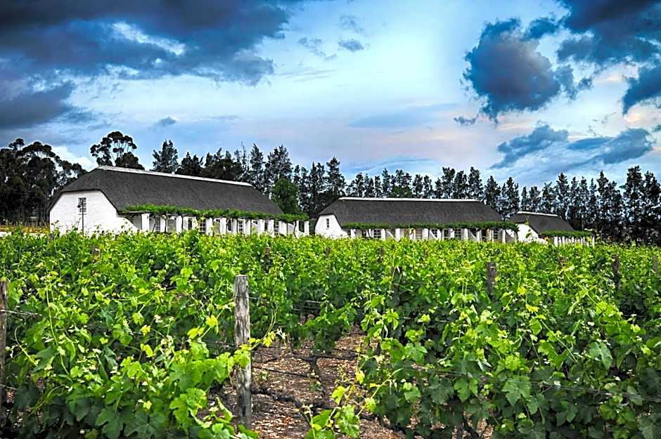 Rijk's Wine Estate & Hotel