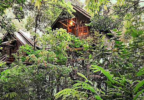 Permai Rainforest Resort