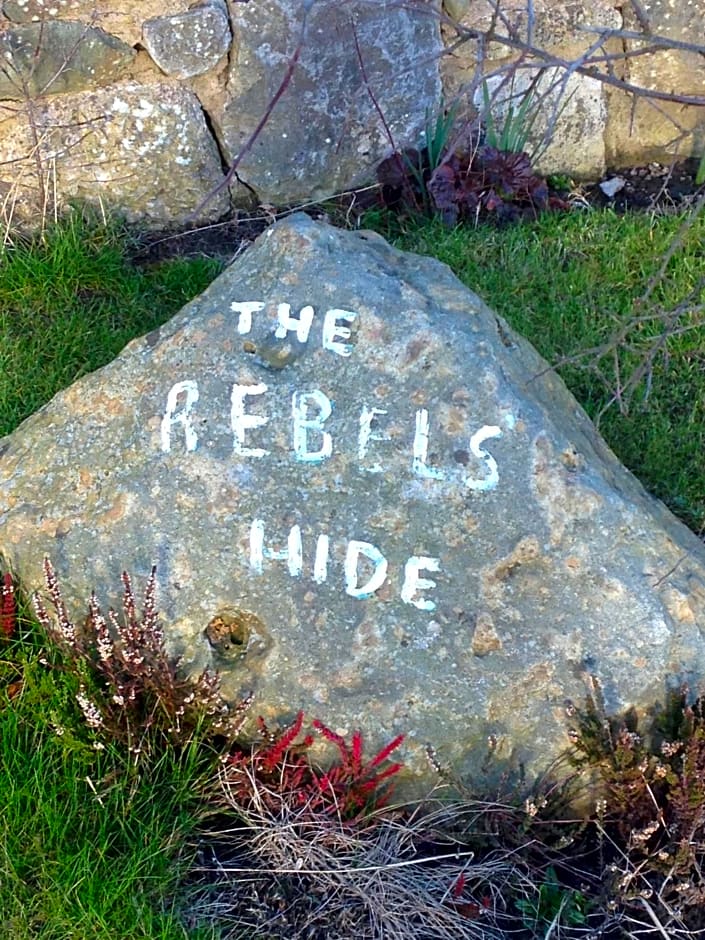 Rebels Hide
