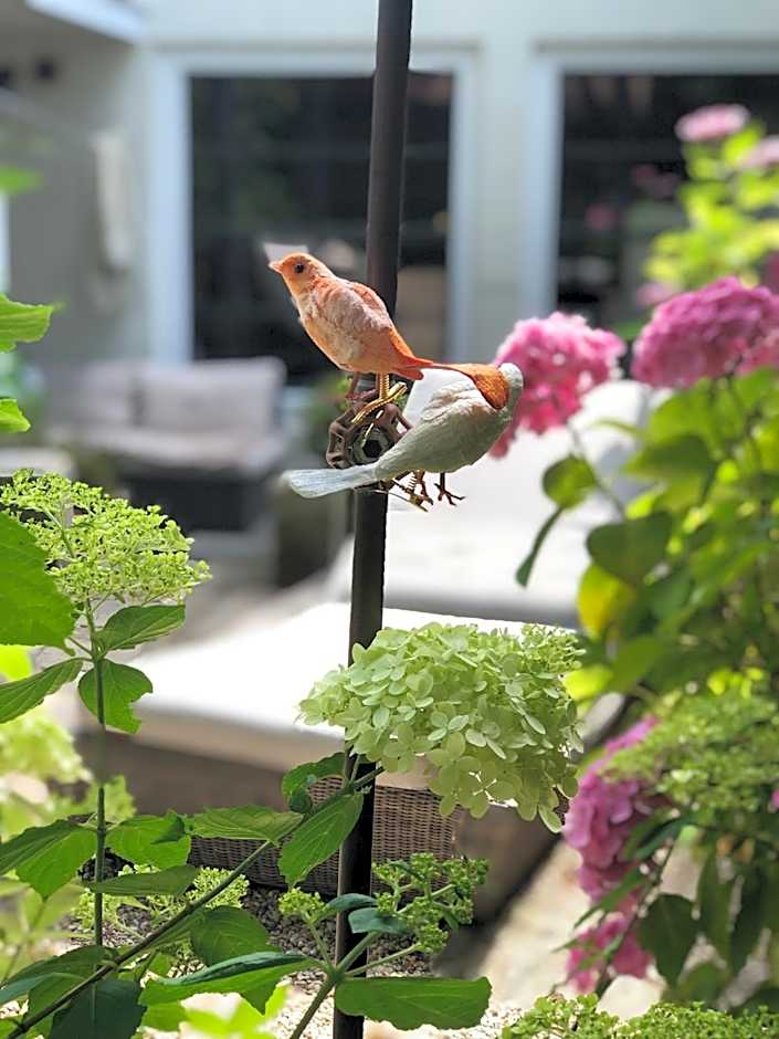 B&B Montancourt-Middelburg