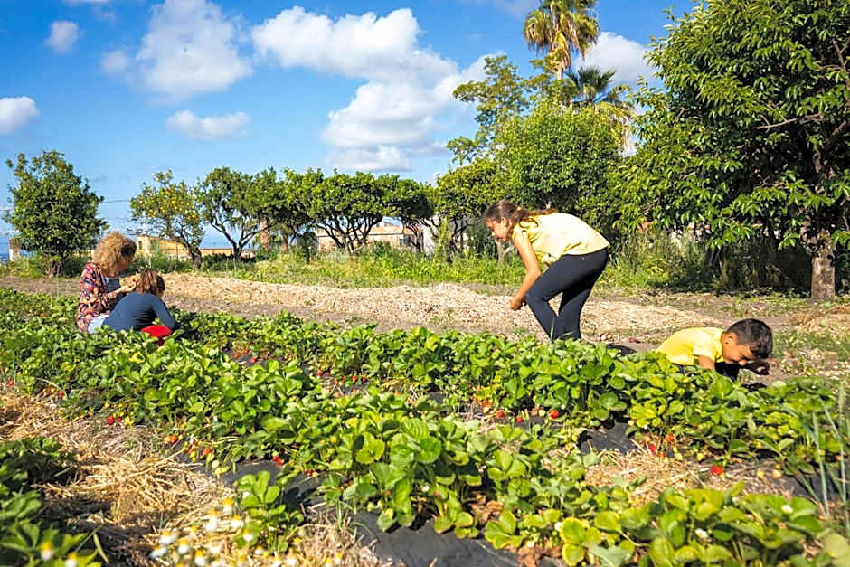 HibiscusUno Tropea Residence