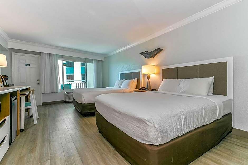 Winter the Dolphin's Beach Club, Ascend Hotel Collection