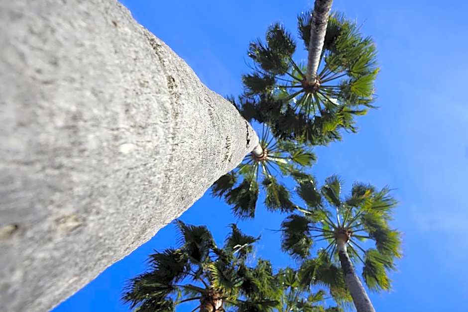 Alcaidesa Boutique Hotel