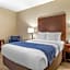Comfort Inn Near Greenfield Village