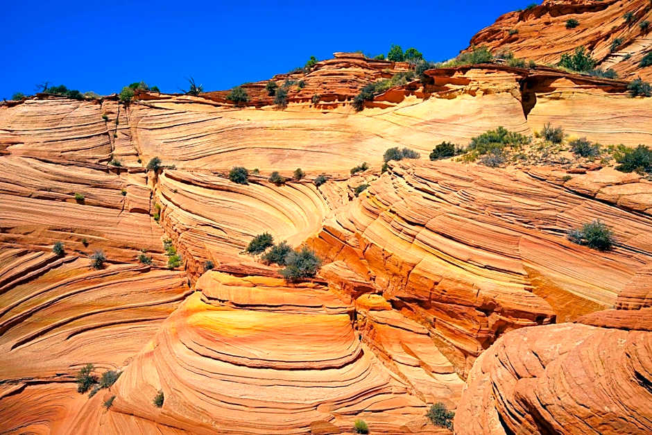 Best Western View Of Lake Powell Hotel