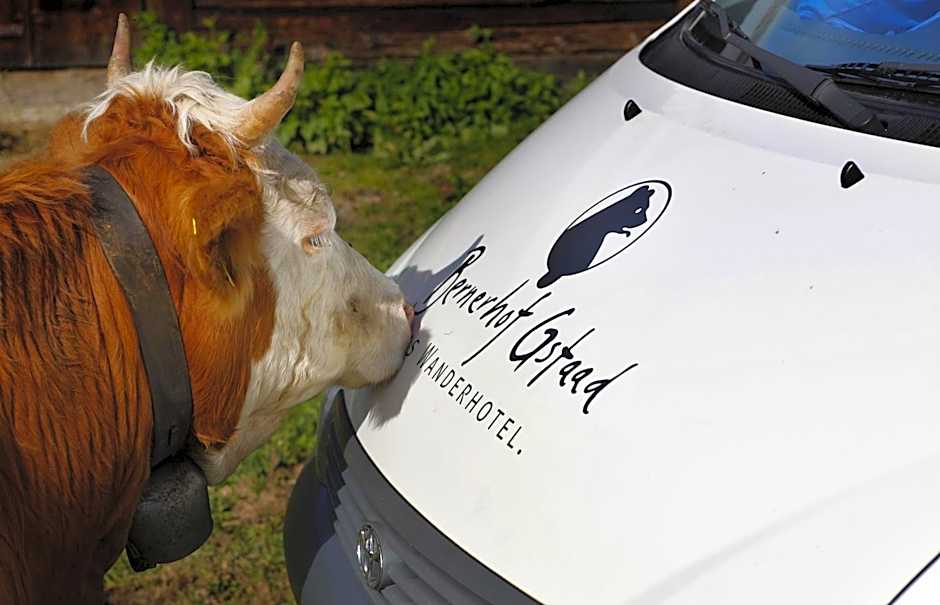 Bernerhof Swiss Quality Hotel Gstaad