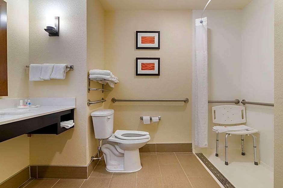 Comfort Inn & Suites Macon West